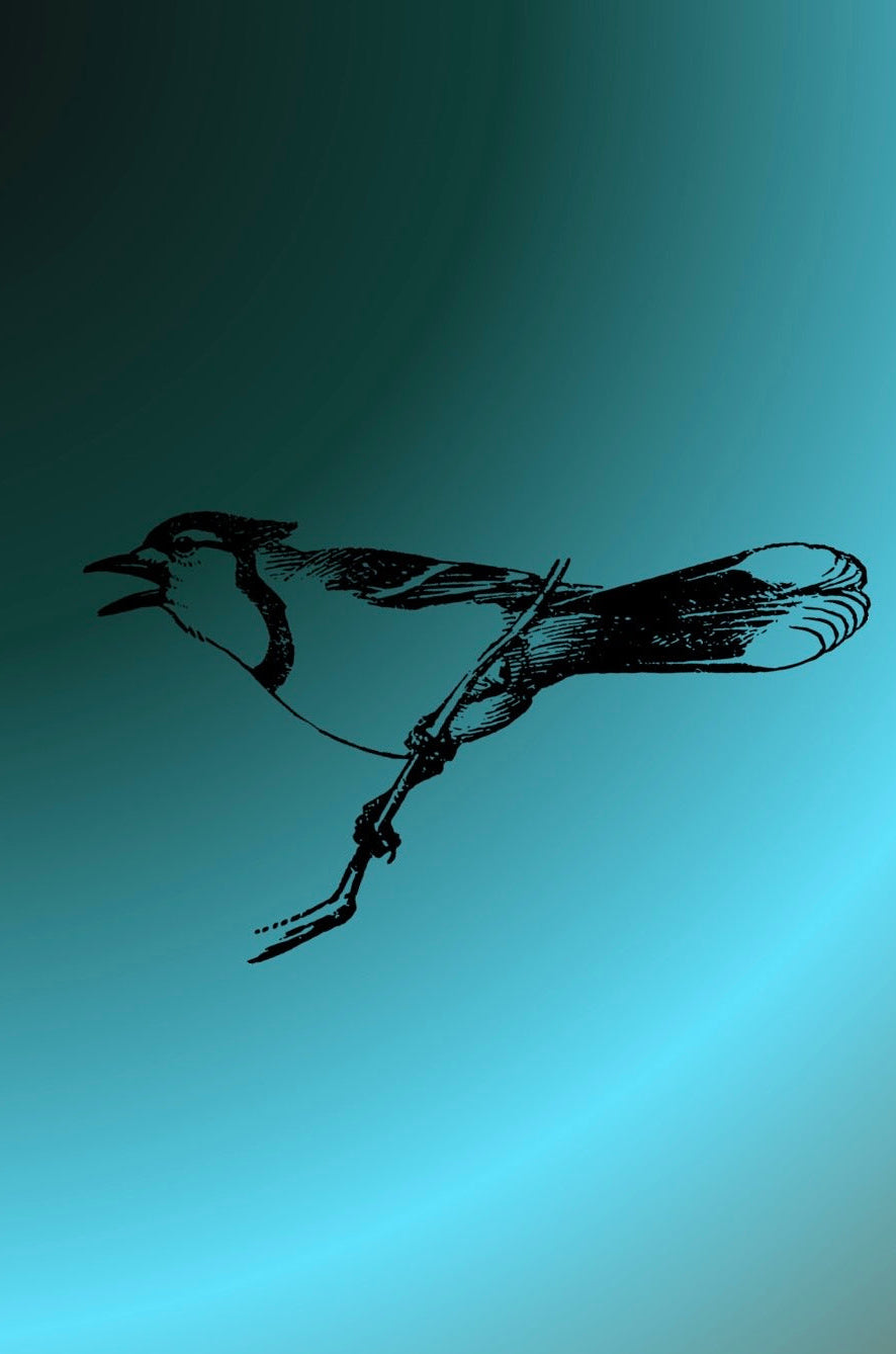 Kunstguthaben-Geschenkgutschein