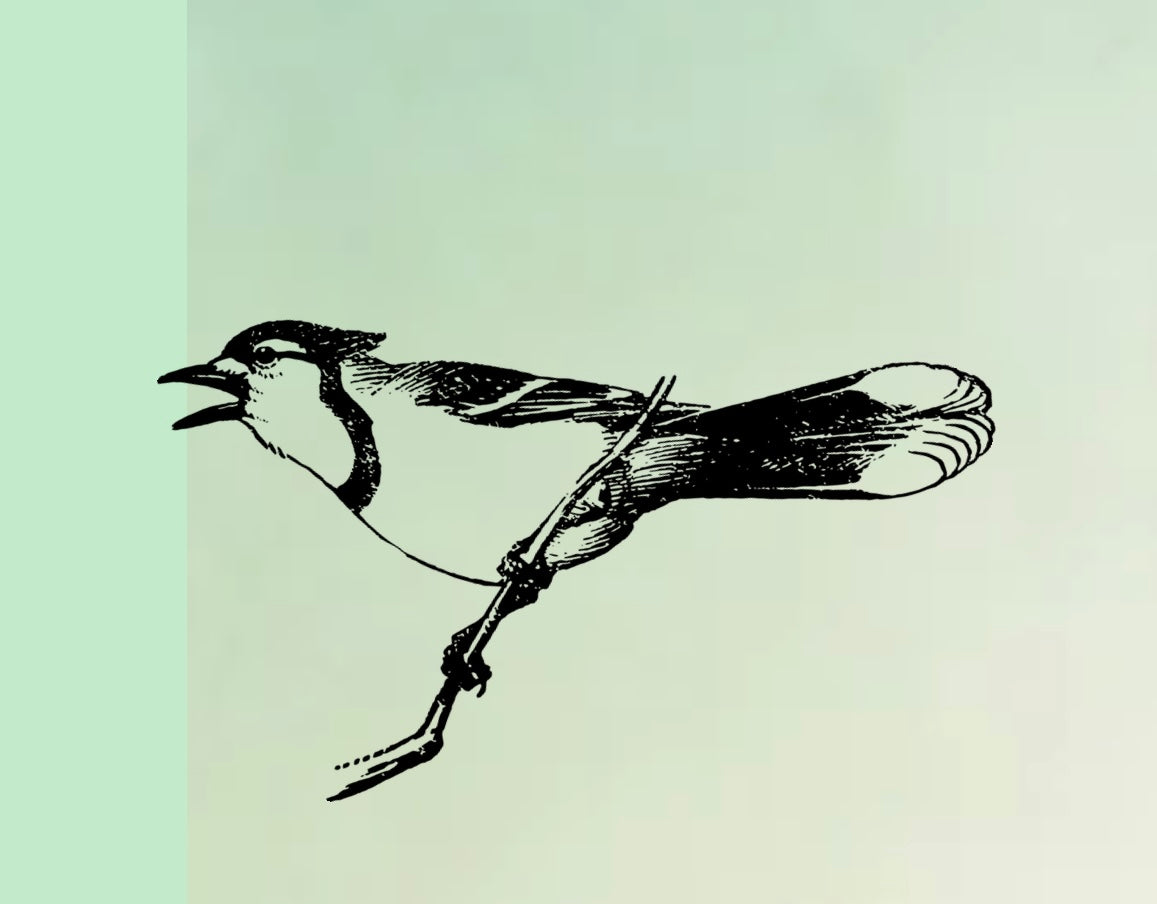 Kunstguthaben-Geschenkgutschein